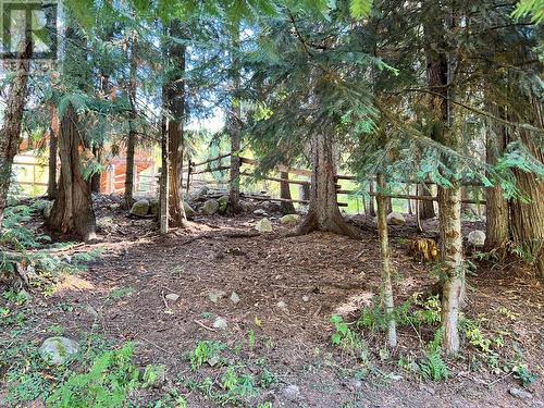 9905 6 Highway, Salmo, BC - Outdoor