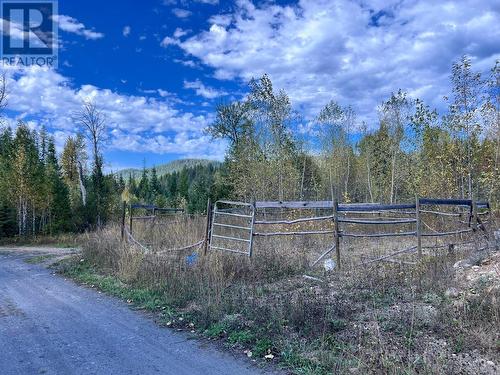 9905 6 Highway, Salmo, BC - Outdoor With View