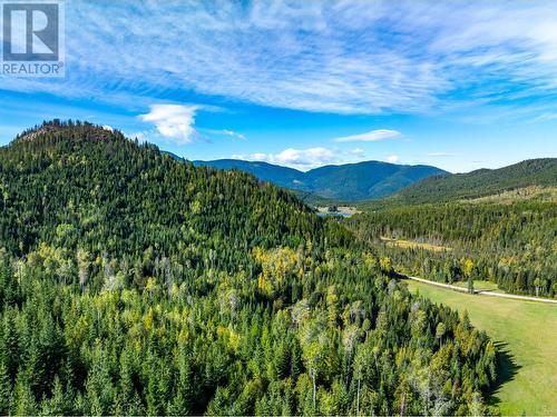 9905 6 Highway, Salmo, BC - Outdoor With View