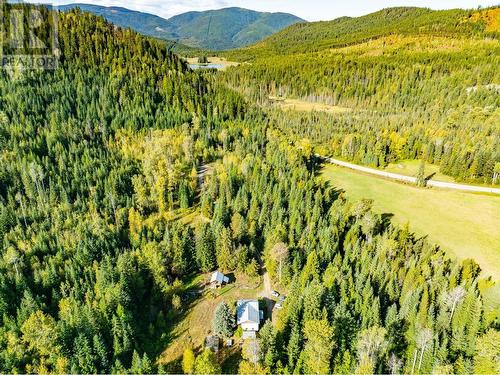 9905 6 Highway, Salmo, BC - Outdoor With View