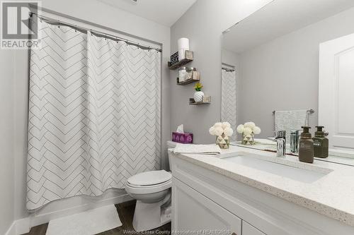 1067 Copeland Avenue, Windsor, ON - Indoor Photo Showing Bathroom