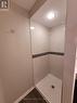 3103 Harris-Basement Crescent, Mississauga, ON  - Indoor Photo Showing Bathroom 