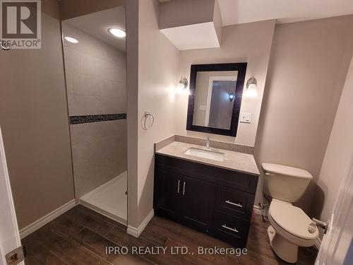 3103 Harris-Basement Crescent, Mississauga, ON - Indoor Photo Showing Bathroom