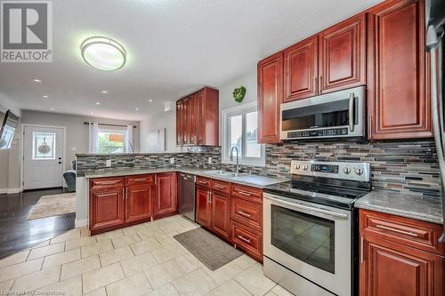 223 Lancaster Street W, Kitchener, ON - Indoor Photo Showing Kitchen With Double Sink