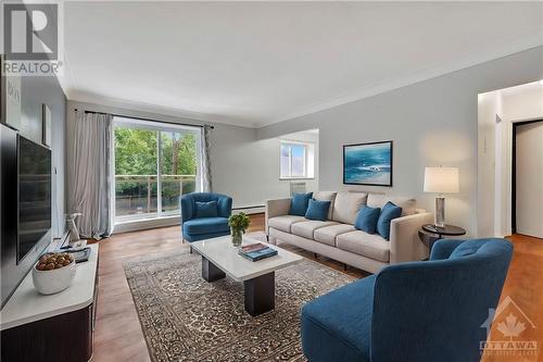 87 St George Street Unit#206, Brantford, ON - Indoor Photo Showing Living Room