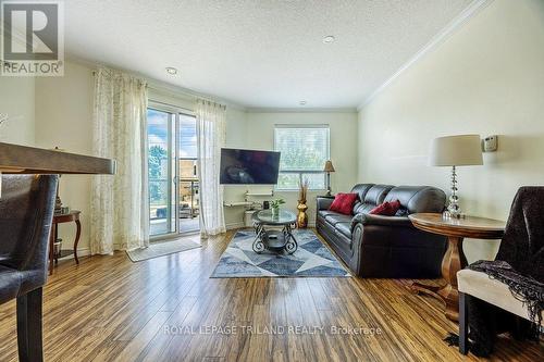 206 - 435 Colborne Street, London, ON - Indoor Photo Showing Living Room