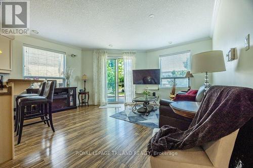 206 - 435 Colborne Street, London, ON - Indoor Photo Showing Living Room