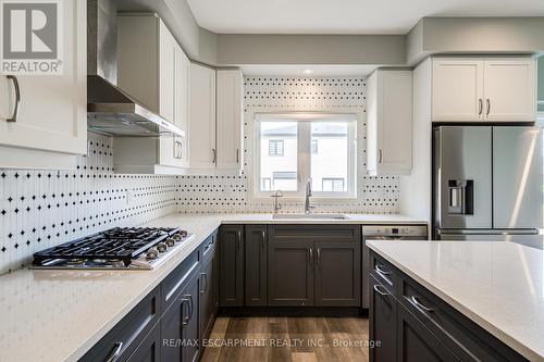 219 Klein Circle, Hamilton, ON - Indoor Photo Showing Kitchen With Upgraded Kitchen