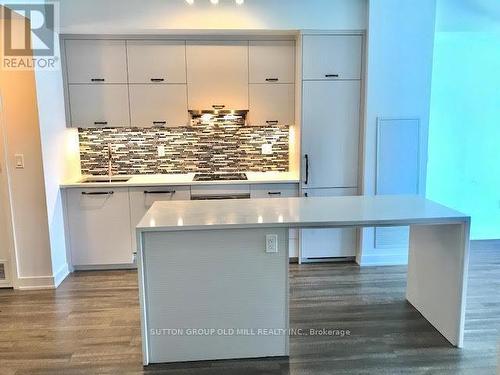 302 - 106 Dovercourt Road, Toronto, ON - Indoor Photo Showing Kitchen