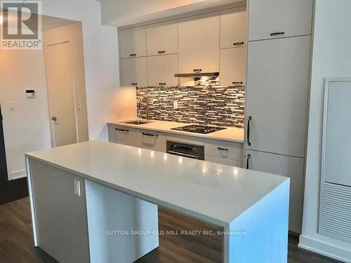 302 - 106 Dovercourt Road, Toronto, ON - Indoor Photo Showing Kitchen With Upgraded Kitchen