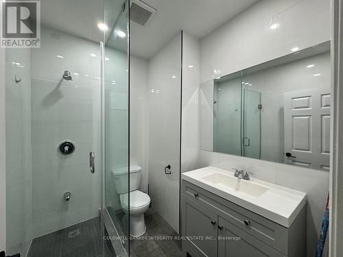 201 - 238 Queen Street S, Mississauga, ON - Indoor Photo Showing Bathroom