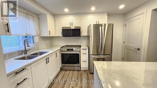 521 Parkview Crescent, Cambridge, ON - Indoor Photo Showing Kitchen With Double Sink With Upgraded Kitchen