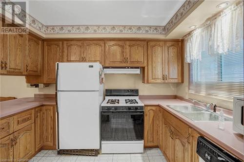 38 Dubarry Boulevard, Hamilton, ON - Indoor Photo Showing Kitchen With Double Sink