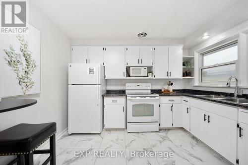 263 Castle Drive, London, ON - Indoor Photo Showing Kitchen With Double Sink