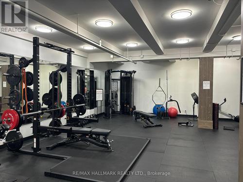 409 - 43 Hanna Avenue, Toronto, ON - Indoor Photo Showing Gym Room