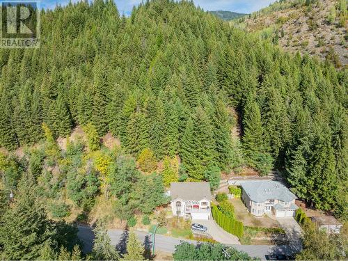 3301 Laburnum  Drive, Trail, BC - Outdoor With View