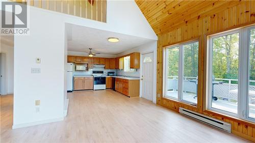 193 Meadow Lark Place, Ice Lake, ON - Indoor Photo Showing Kitchen