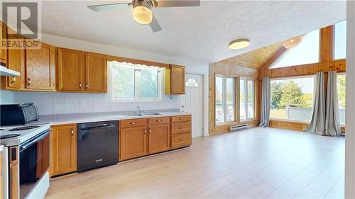 193 Meadow Lark Place, Ice Lake, ON - Indoor Photo Showing Kitchen With Double Sink