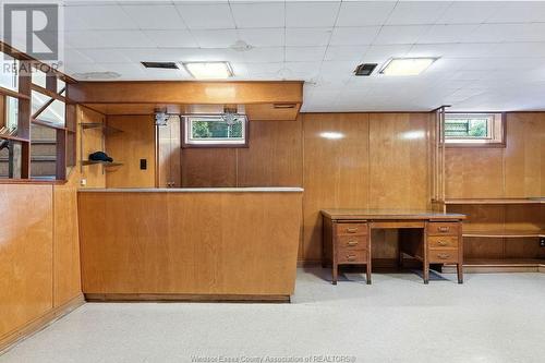 233 Thompson Boulevard, Windsor, ON - Indoor Photo Showing Basement