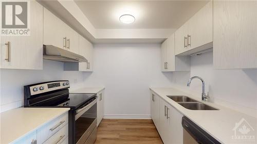 160 Whispering Winds Way Unit#210, Ottawa, ON - Indoor Photo Showing Kitchen With Double Sink With Upgraded Kitchen