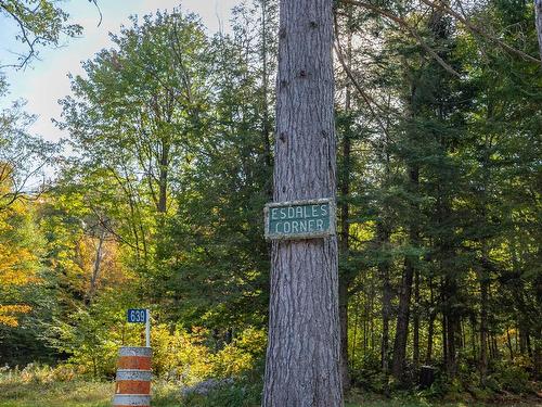 Photo aÃ©rienne - Ch. Du Lac-À-La-Croix, Boileau, QC 