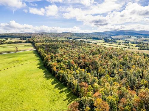 Vue d'ensemble - 362 Ch. De Brill, Bolton-Ouest, QC 