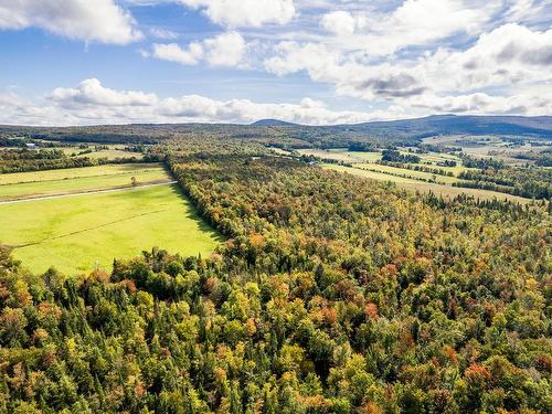 Vue d'ensemble - 362 Ch. De Brill, Bolton-Ouest, QC 