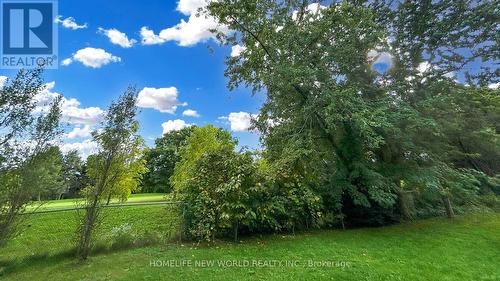 3 Athens Drive, Markham, ON - Outdoor With View