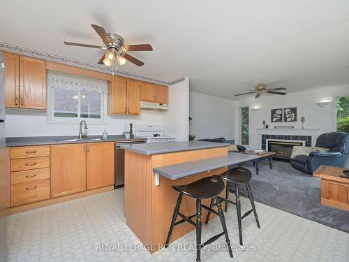 238 Walsh Cres, Orangeville, ON - Indoor Photo Showing Kitchen With Fireplace