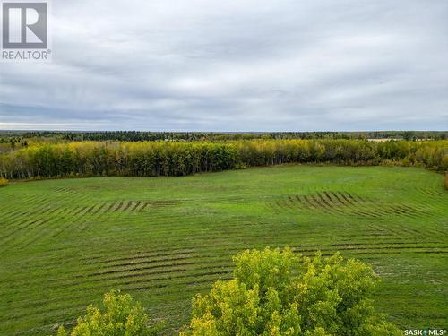 Forest Gate Acreage, Paddockwood Rm No. 520, SK 