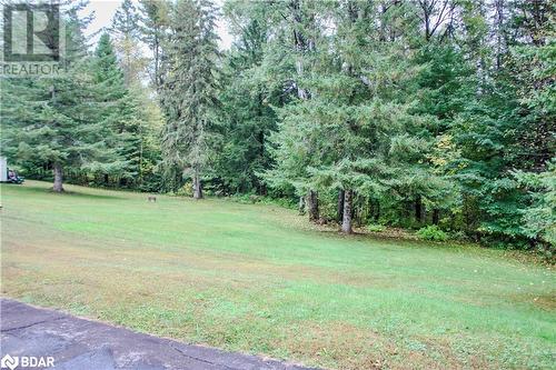 38 Bay Ridge Road, Hastings Highlands, ON - Outdoor