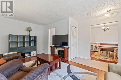 1055 Osgoode Drive E, London, ON - Indoor Photo Showing Living Room