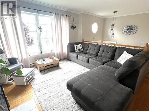 25 Thomas Street, Grand Falls-Windsor, NL - Indoor Photo Showing Living Room