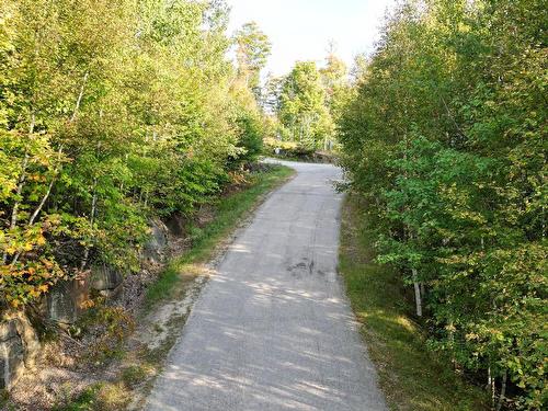 Overall view - Ch. Du Pain-De-Sucre, Mont-Tremblant, QC 