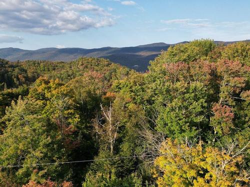 Overall view - Ch. Du Pain-De-Sucre, Mont-Tremblant, QC 