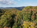 Vue d'ensemble - Ch. Du Pain-De-Sucre, Mont-Tremblant, QC 