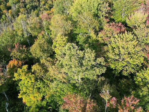 Overall view - Ch. Du Pain-De-Sucre, Mont-Tremblant, QC 