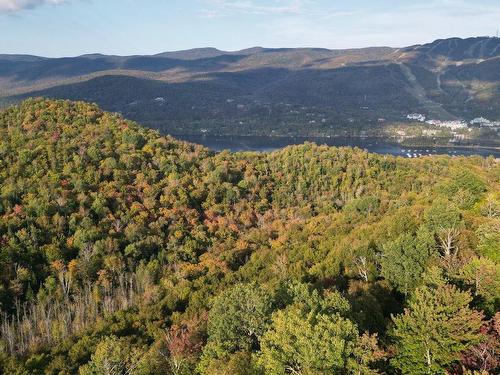 Vue d'ensemble - Ch. Du Pain-De-Sucre, Mont-Tremblant, QC 