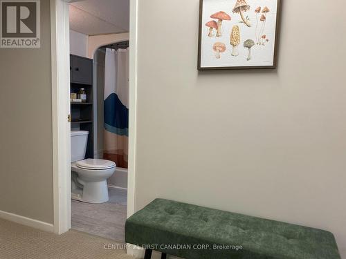 basement bath - 294 Broadway Street, Tillsonburg, ON - Indoor Photo Showing Bathroom