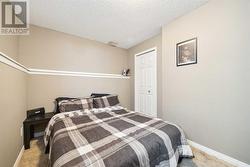 Lower Bedroom - 