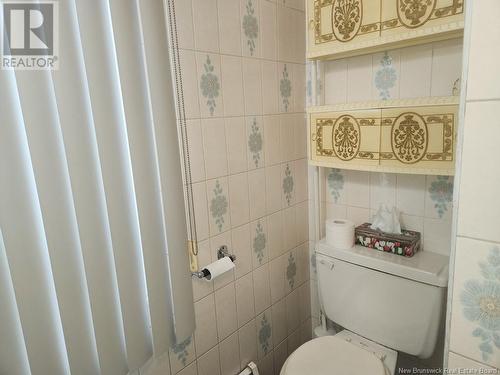 373 Tobique Road, Grand Falls, NB - Indoor Photo Showing Bathroom