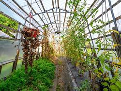 Greenhouse - 