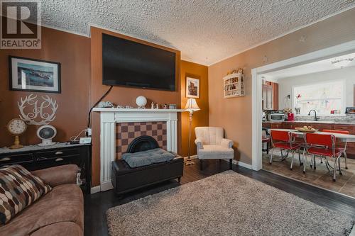 10 Mullock Street, St. John'S, NL - Indoor Photo Showing Living Room With Fireplace