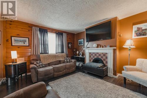 10 Mullock Street, St. John'S, NL - Indoor Photo Showing Living Room With Fireplace