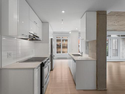 Kitchen - 503-245 Rue Maguire, Montréal (Le Plateau-Mont-Royal), QC - Indoor Photo Showing Kitchen With Double Sink With Upgraded Kitchen