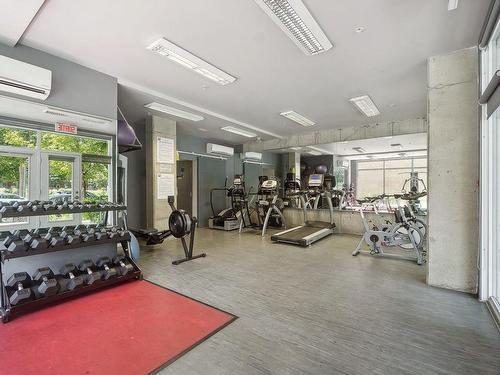 Exercise room - 503-245 Rue Maguire, Montréal (Le Plateau-Mont-Royal), QC - Indoor Photo Showing Gym Room