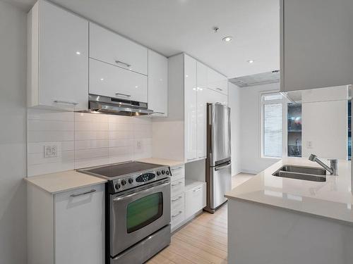 Kitchen - 503-245 Rue Maguire, Montréal (Le Plateau-Mont-Royal), QC - Indoor Photo Showing Kitchen With Double Sink With Upgraded Kitchen