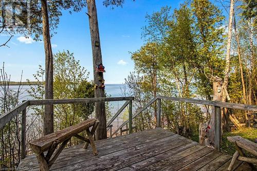 Shore side trees offer protection from the weather. - 139 Ivy Drive, Georgian Bluffs, ON - Outdoor With Deck Patio Veranda