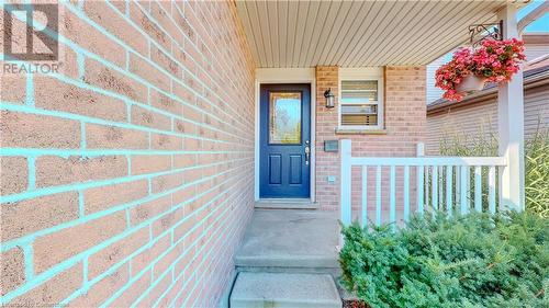 5 Michelle Court, Kitchener, ON - Outdoor