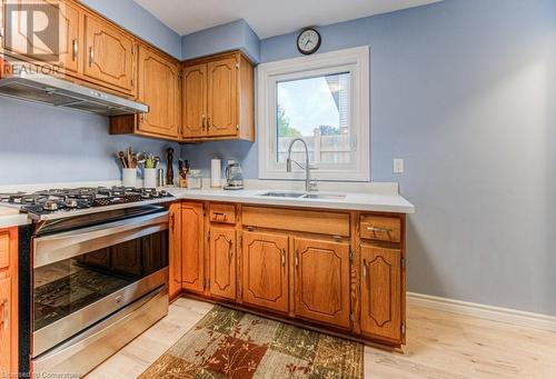 113 Jansen Avenue, Kitchener, ON - Indoor Photo Showing Kitchen With Double Sink